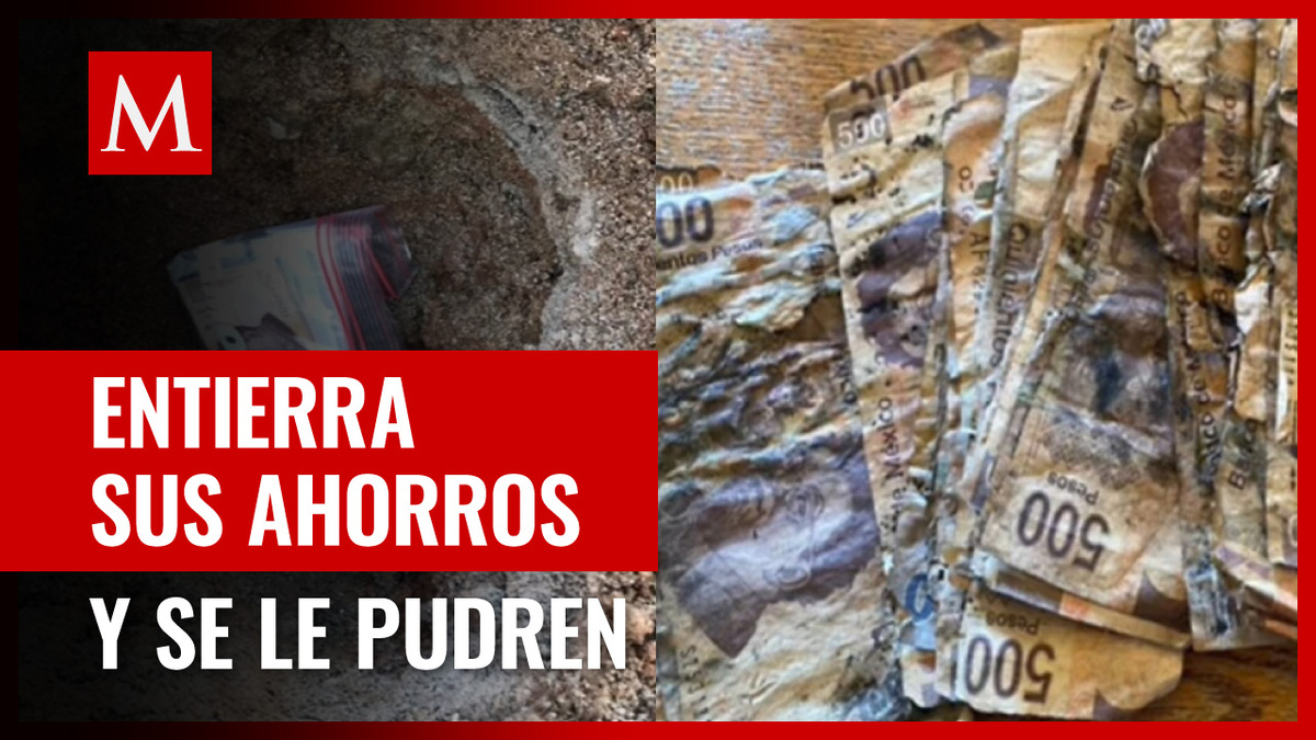 Joven pierde sus ahorros luego de enterrarlos por dos meses bajo tierra