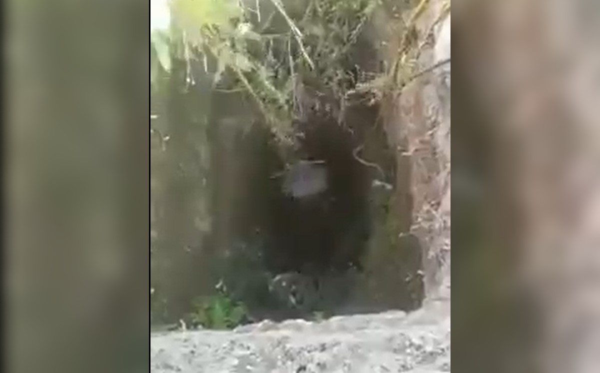 En Chiapas, rescatan a mujer que cayó a pozo de 13 metros de profundidad. | Especial