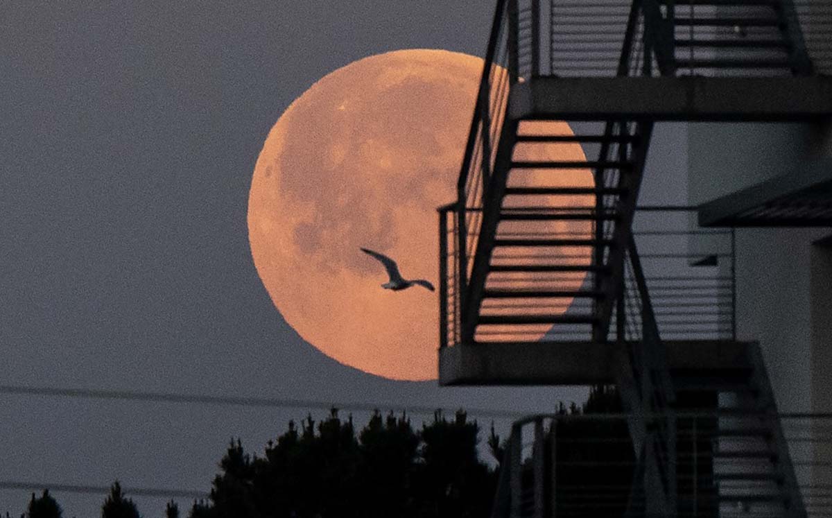 Superluna rosa desde Lorient, Francia (AFP).