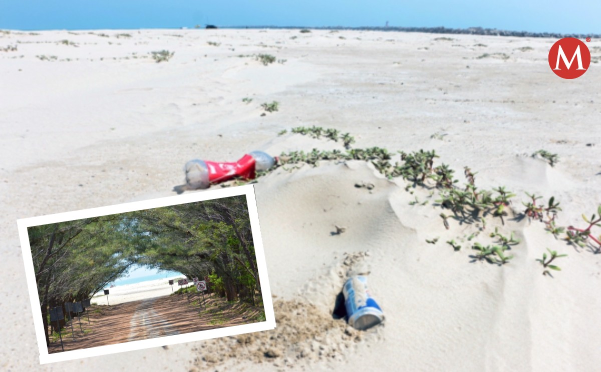 Anuncian segunda edición del "Limpiazo" en la playa Tesoro de Altamira