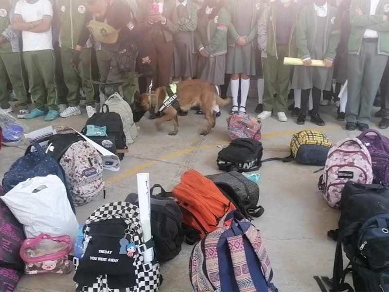 Binomios caninos han encontrado drogas, armas hechizas y hasta medicamentos en escuelas del Edomex. Especial