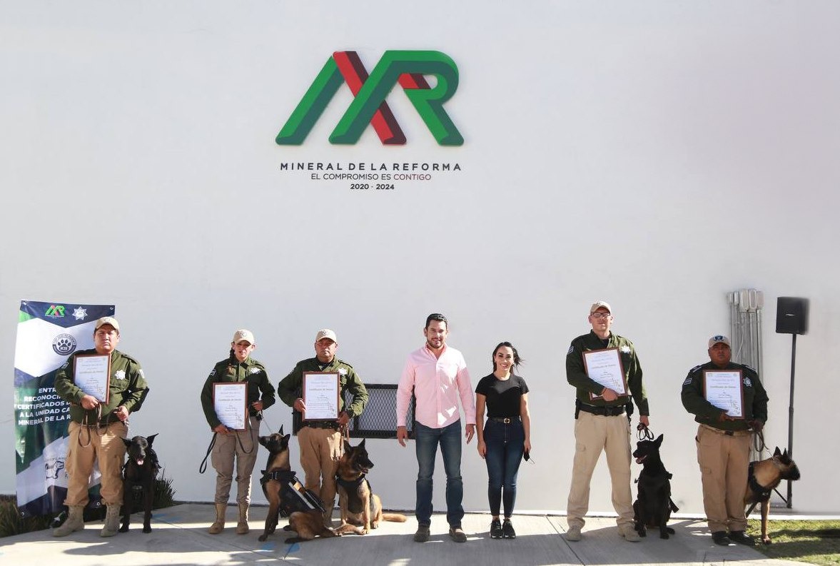 Desde la creación de la Unidad Canina K9, en febrero del 2022, se han realizado más de 160 operativos de transportes públicos (Cortesía)