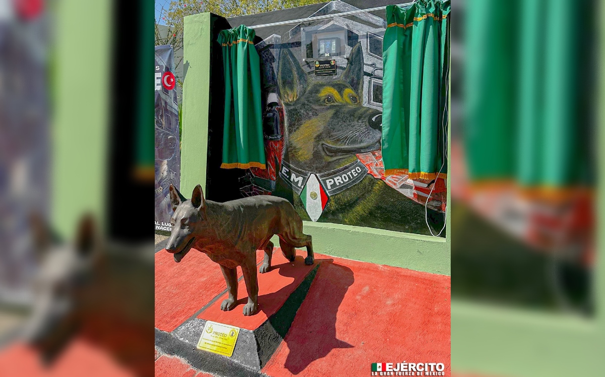 Sedena rinde homenaje a Proteo, perro rescatista que murió en Turquía | Facebook Secretaría de la Defensa Nacional