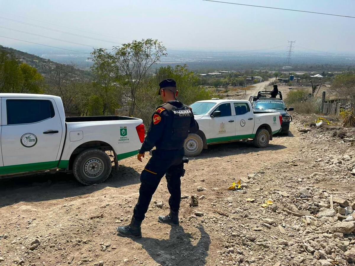 Los terrenos fueron localizados gracias a diversas denuncias ciudadanas. Foto: Especial