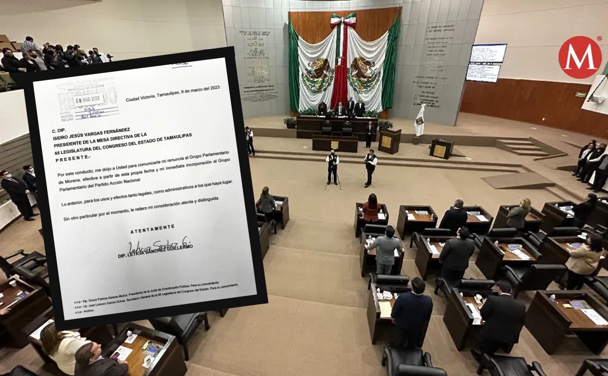 Diputada renuncia a Morena para incorporarse al PAN en Tamaulipas