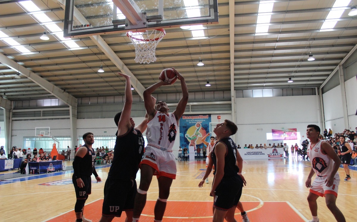 Halcones Inter | Especial