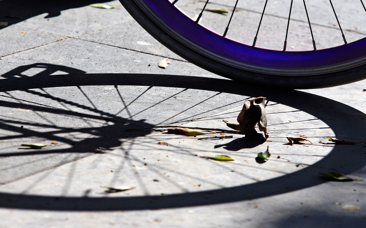 Aspecto de bicicleta | Agencia Enfoque