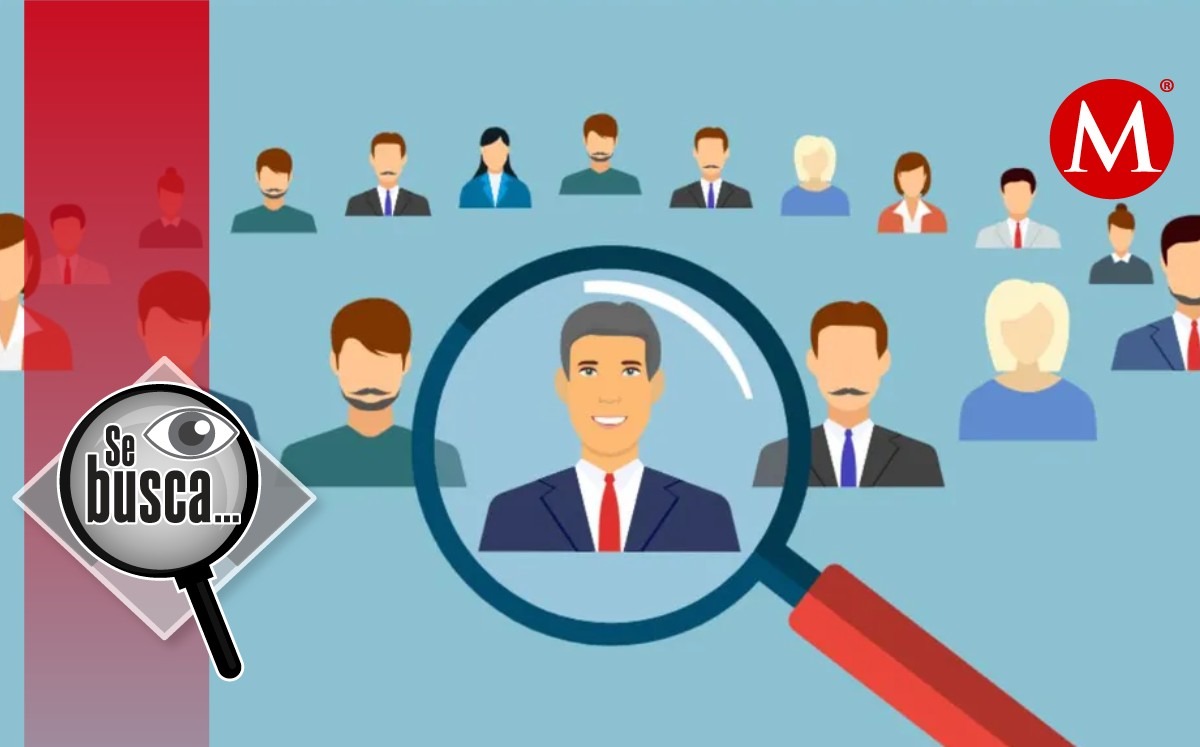 Éstas son las aptitudes que más toman en cuenta las empresas. Foto: (Shutterstock)