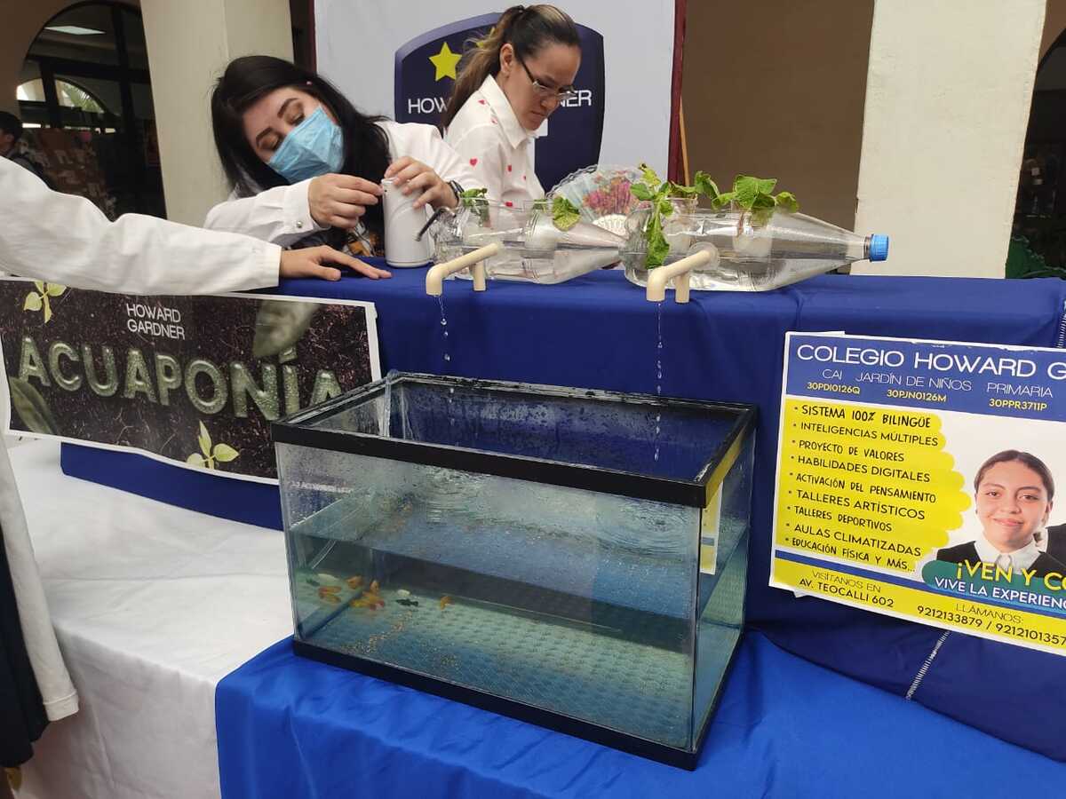 Estudiantes de Veracruz presentan proyecto