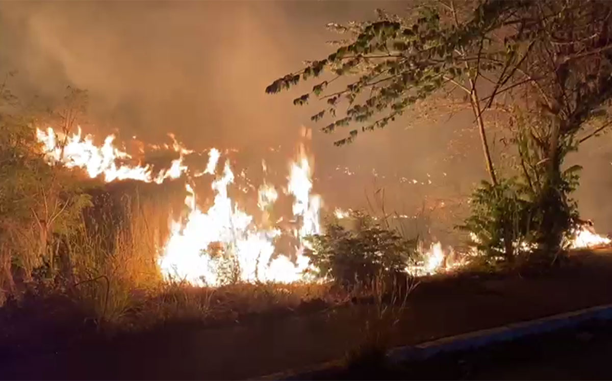 Incendio de pastizal afecta a zona habitacional de Chiapas | Especial