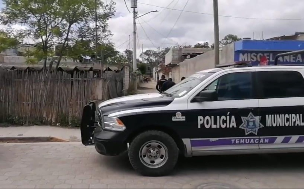 Maltrato animal en Tehuacán | Especial