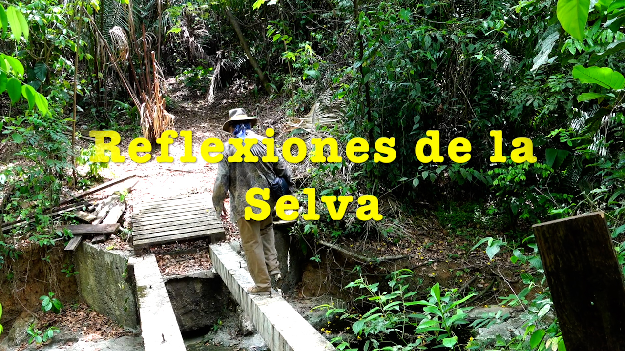 Reflexiones de la selva | Conexión Milenio