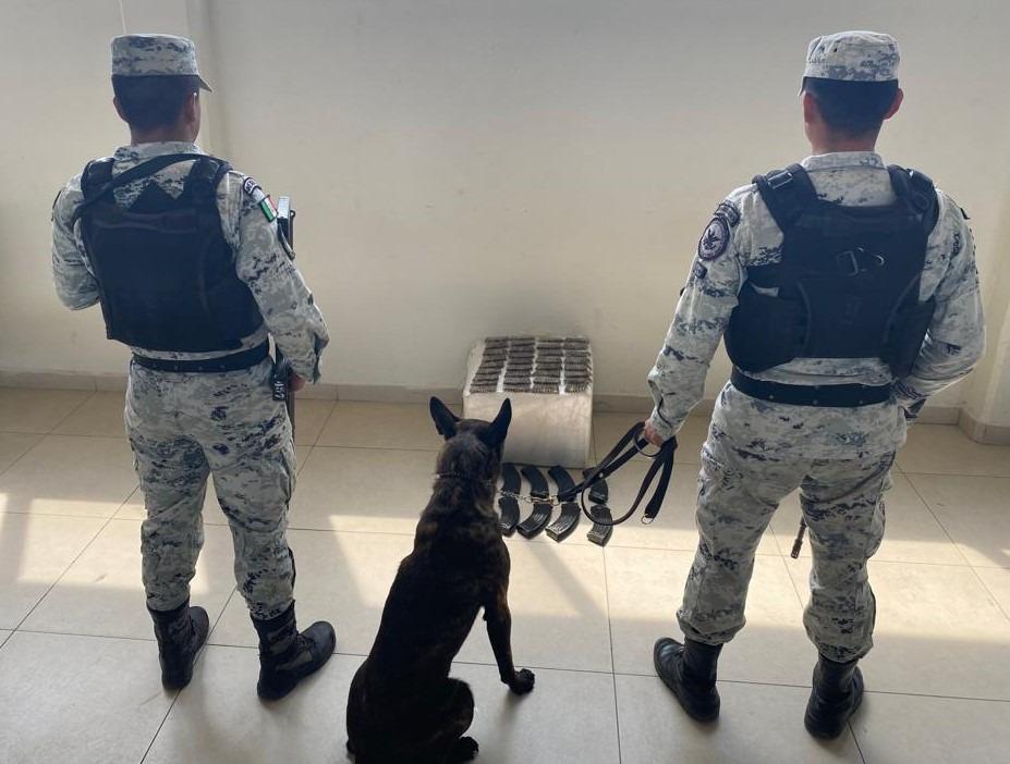 Con el apoyo de un binomio canino realizaron inspecciones. Foto: Especial