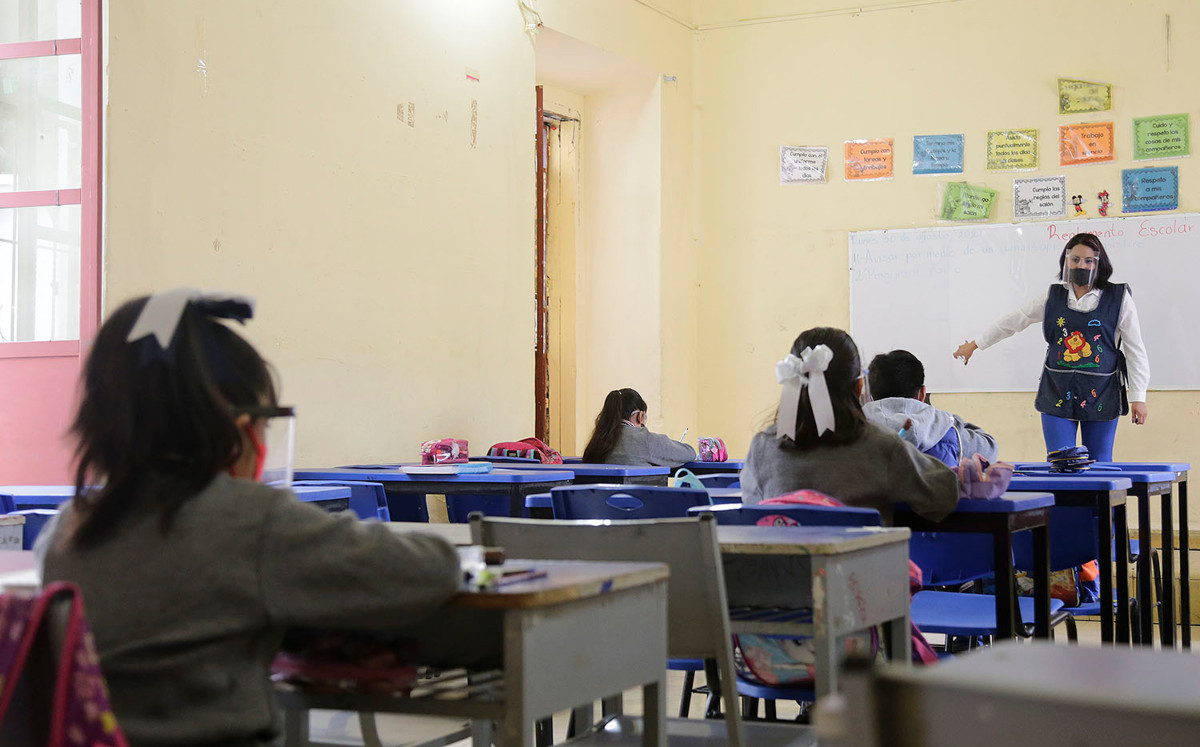 Escuelas | Andrés Lobato