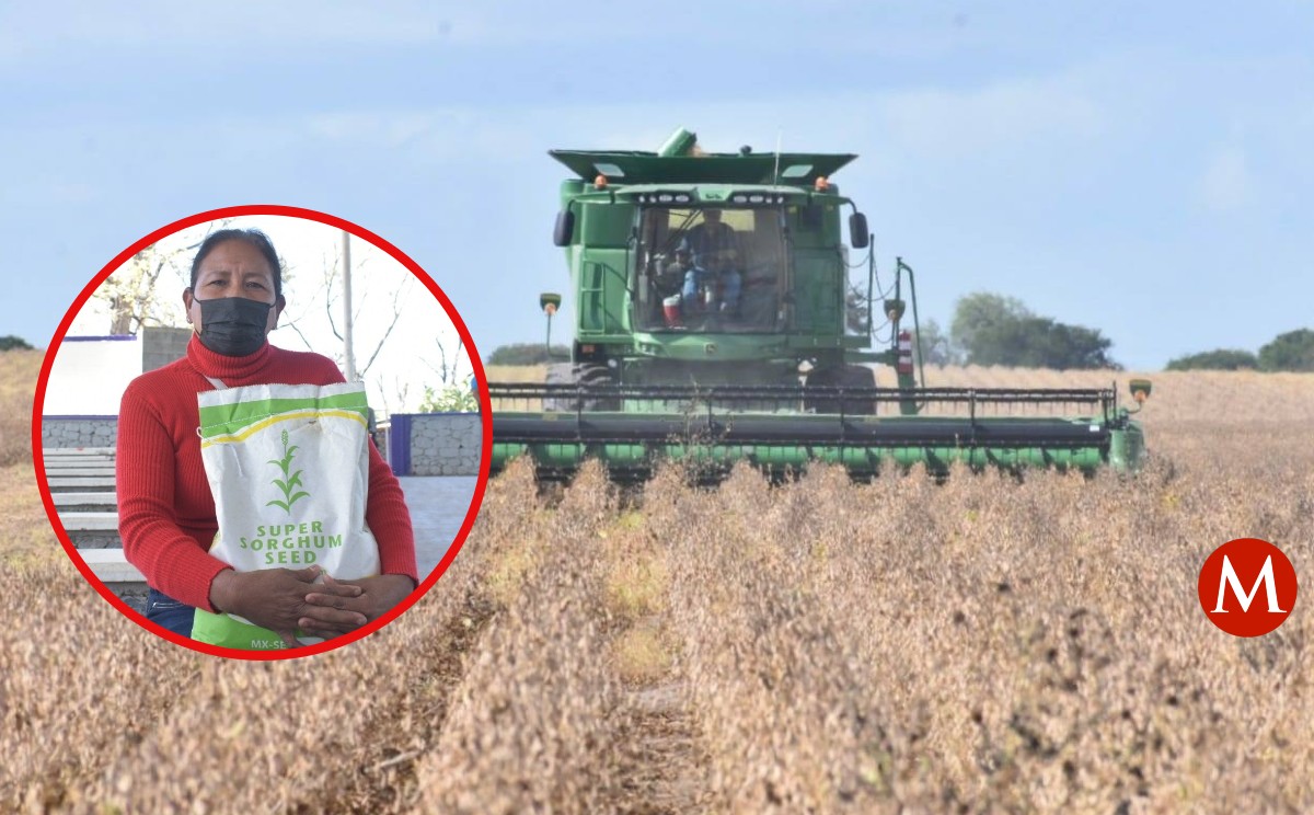 Gobierno federal entregó apoyos a casi 8 mil mujeres productoras del campo en Tamaulipas.