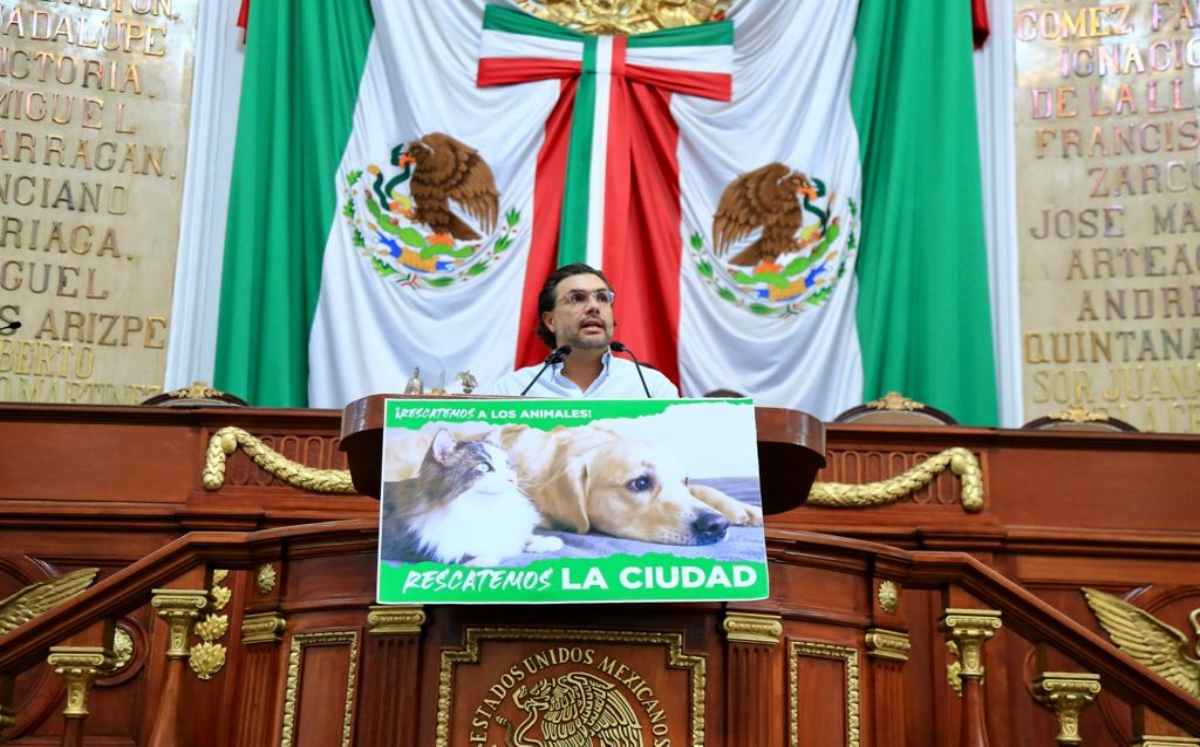 "El Hecho de que sean considerados (las pelelas de gallos) como tradición no debe ser un impedimento”, dijo Jesús Sesma. / Leonardo Lugo