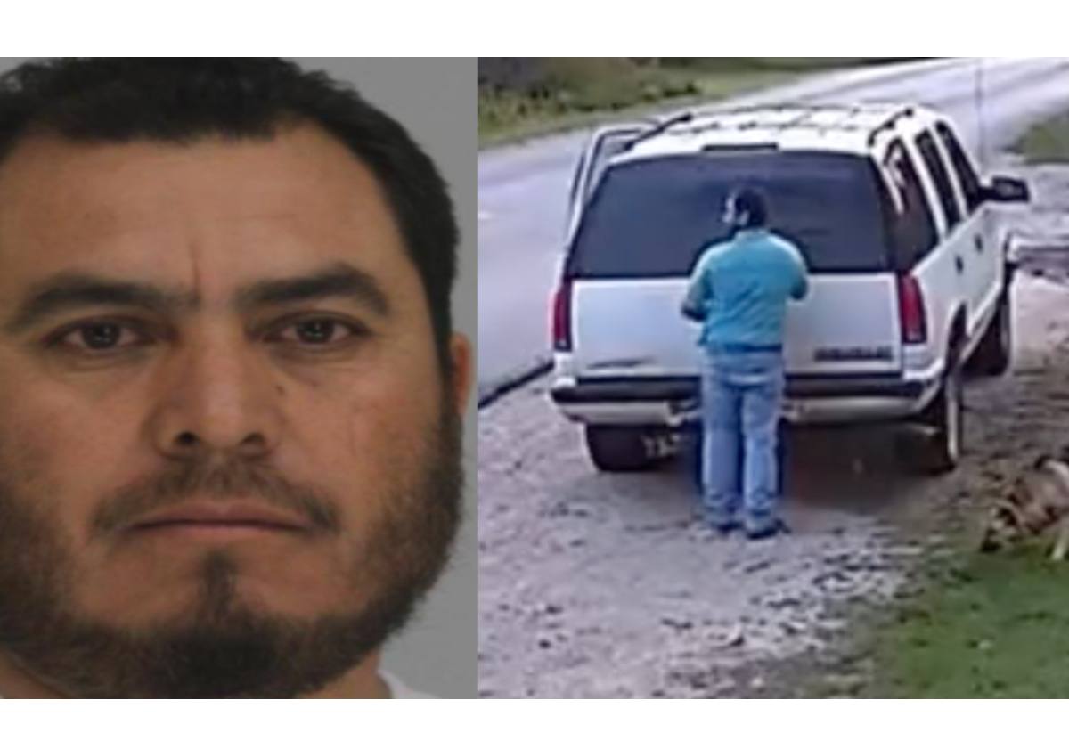 El sujeto habría dejado al animal en la carretera. |