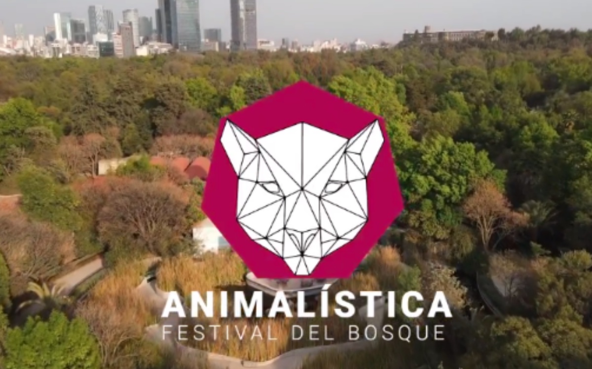 Festival del Bosque 2023: Animalística. (@festivalchapultepec)