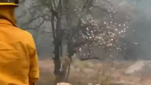 En Coahuila, fueron fijadas multas por conatos de incendio en la Sierra de Arteaga