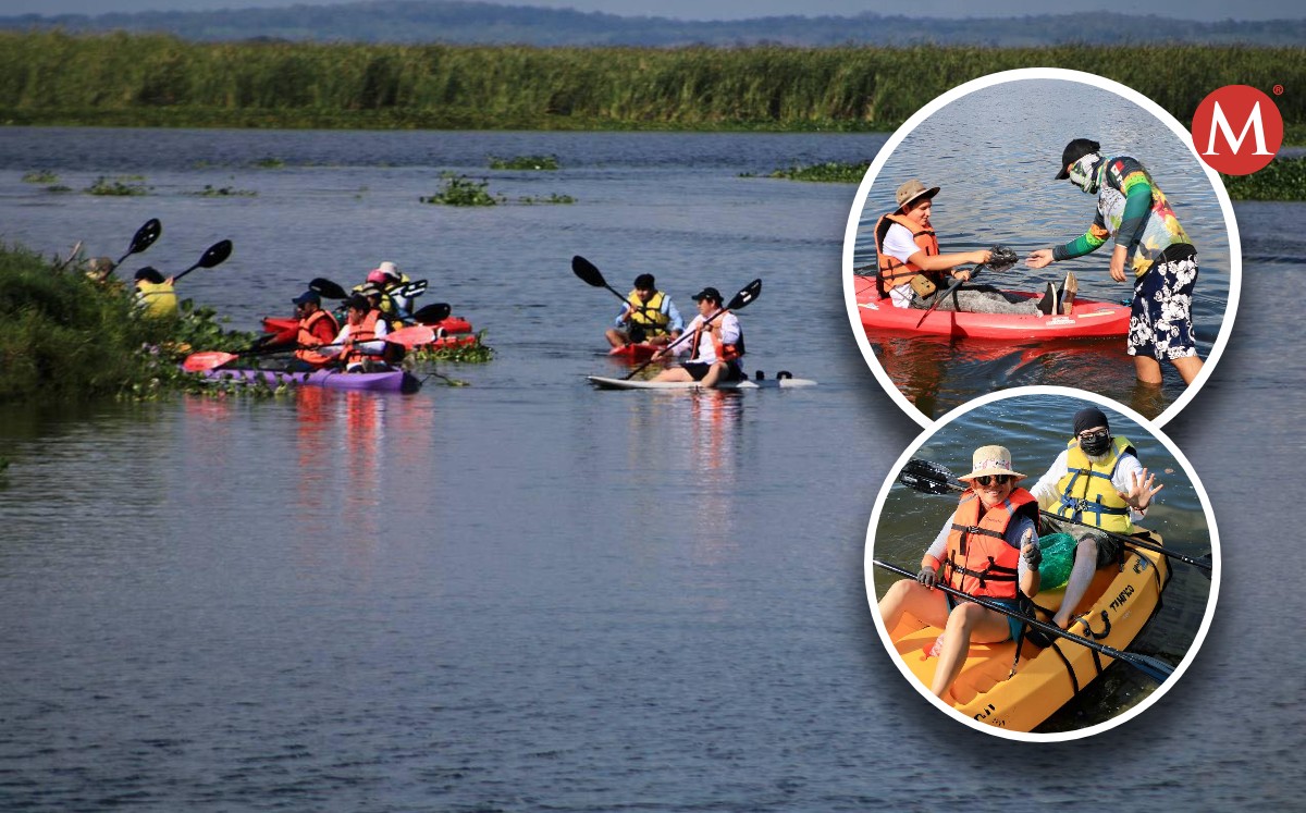 Limpieza de la laguna en kayak en Altamira: cuándo y a qué hora
