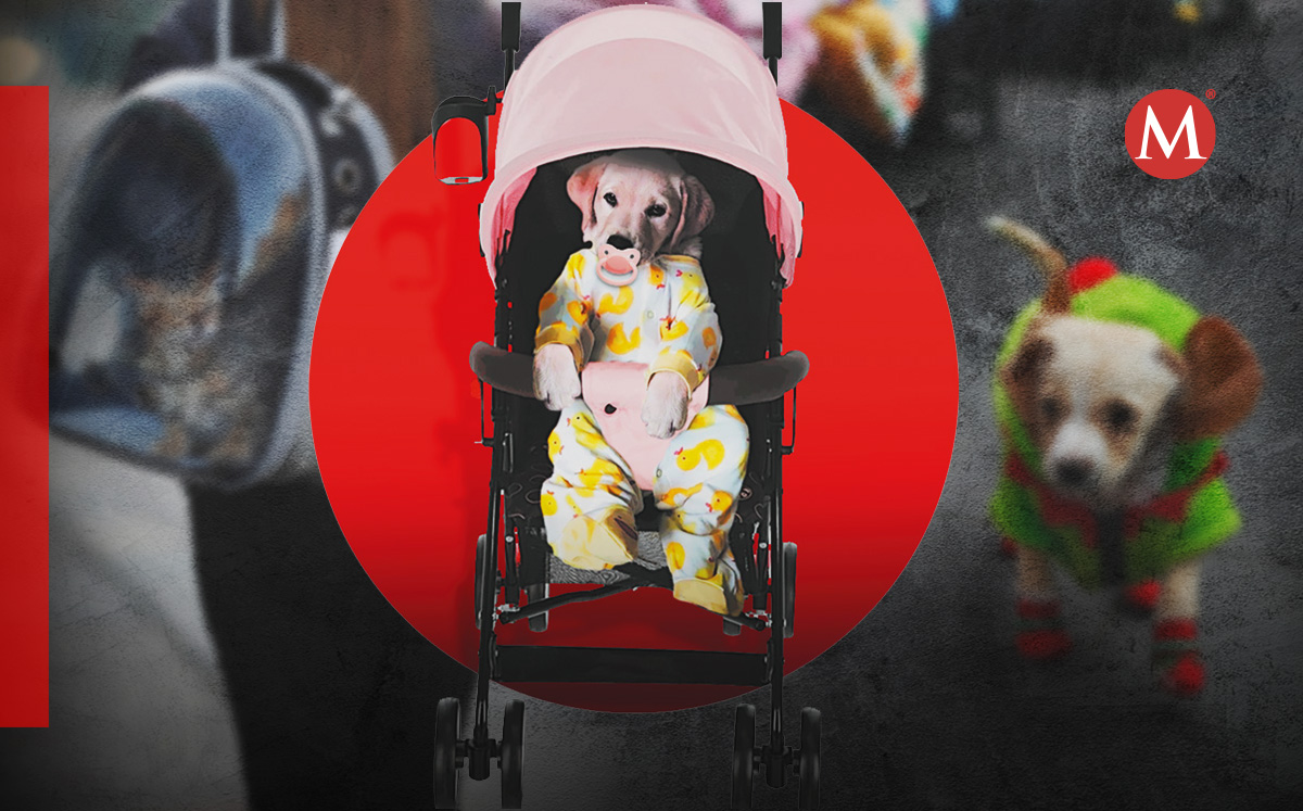 Familias multiespecie luchan por sus derechos. (Especial)
