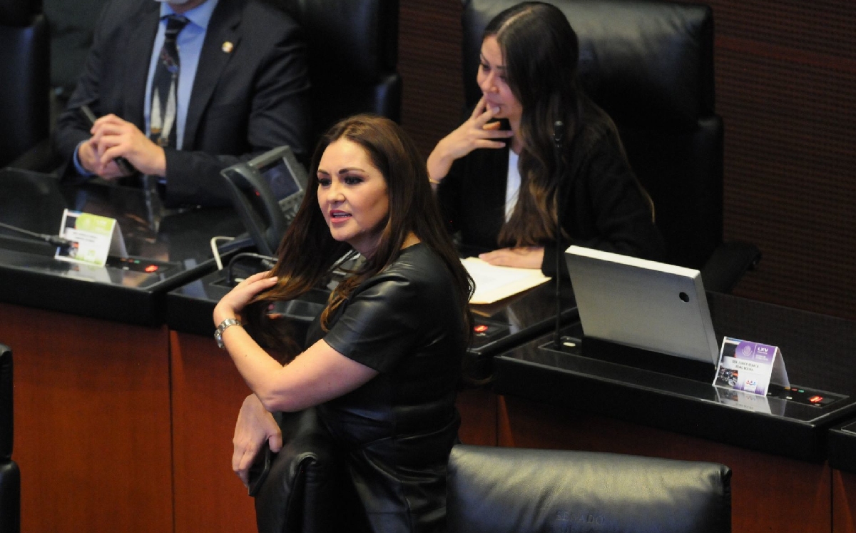 Geovanna Bañuelos, legisladora del PT, durante una sesión del Senado. | Cuartoscuro