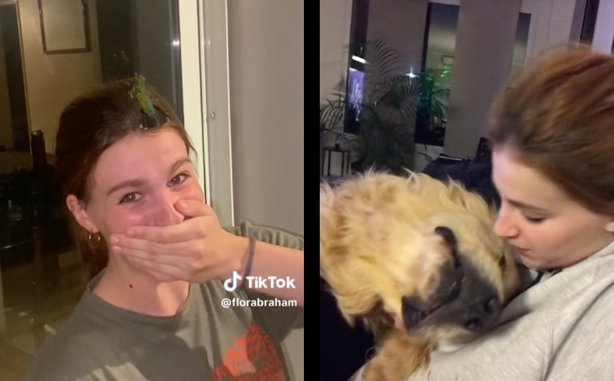Joven pierde a su perrita y colibrí la visita. | ESPECIAL