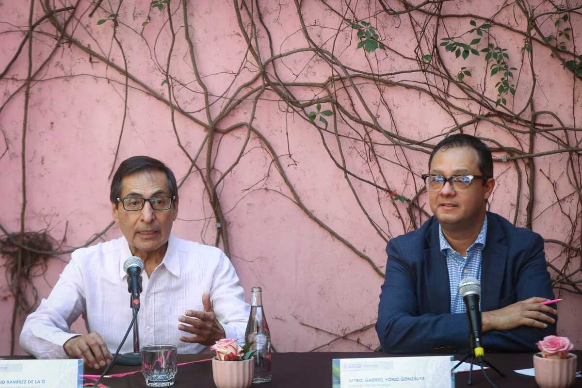 Rogelio Ramírez de la O,  Secrteario de Hacienda. │ Araceli López
