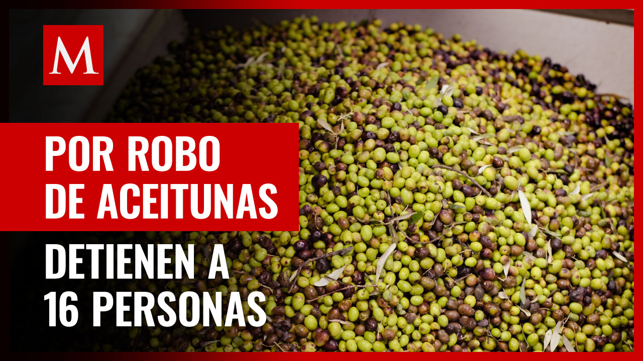 Detienen a 16 personas en España por robo de 17.5 toneladas de aceitunas