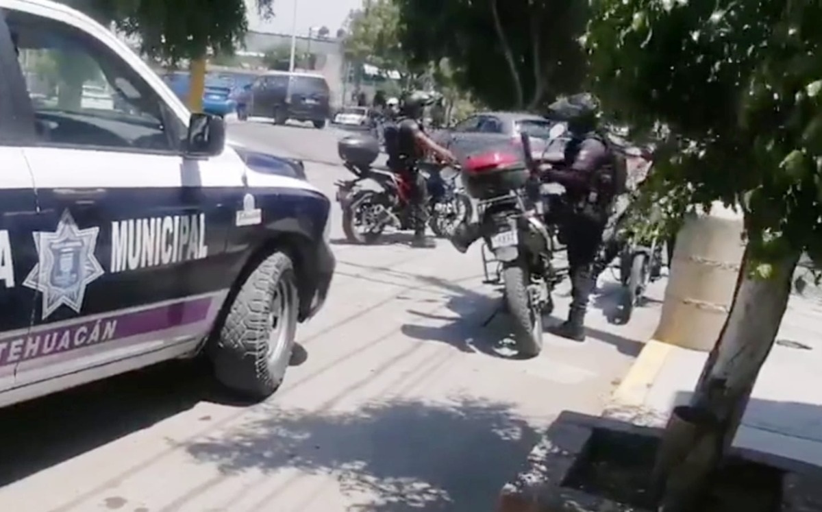 Elementos de Tránsito Municipal | Especial