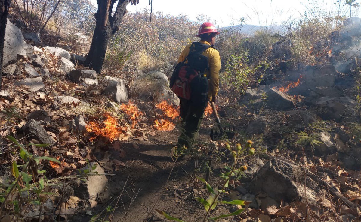 Incendio en el bosque La Primavera, paraje El Colli (Twitter @BosquePrimavera)