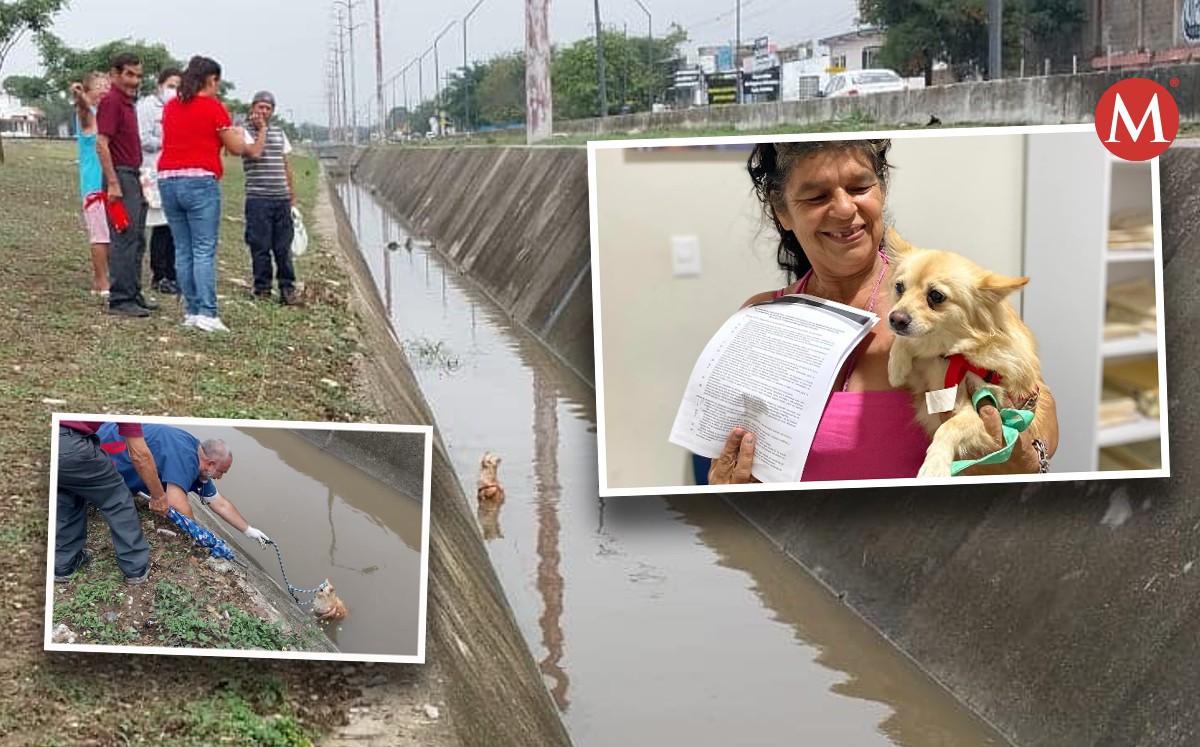 Perrita que se encontraba en un canal abandonada; es rescatada y adoptada