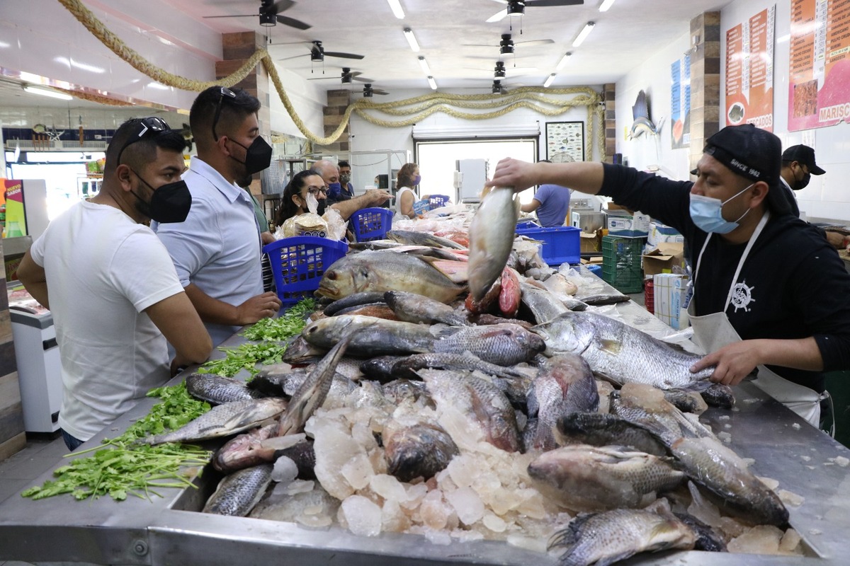 Los precios en el kilo de pescado van desde los 145 pesos hasta los 580 pesos, dependiendo de los puntos de venta. RAÚL PALACIOS