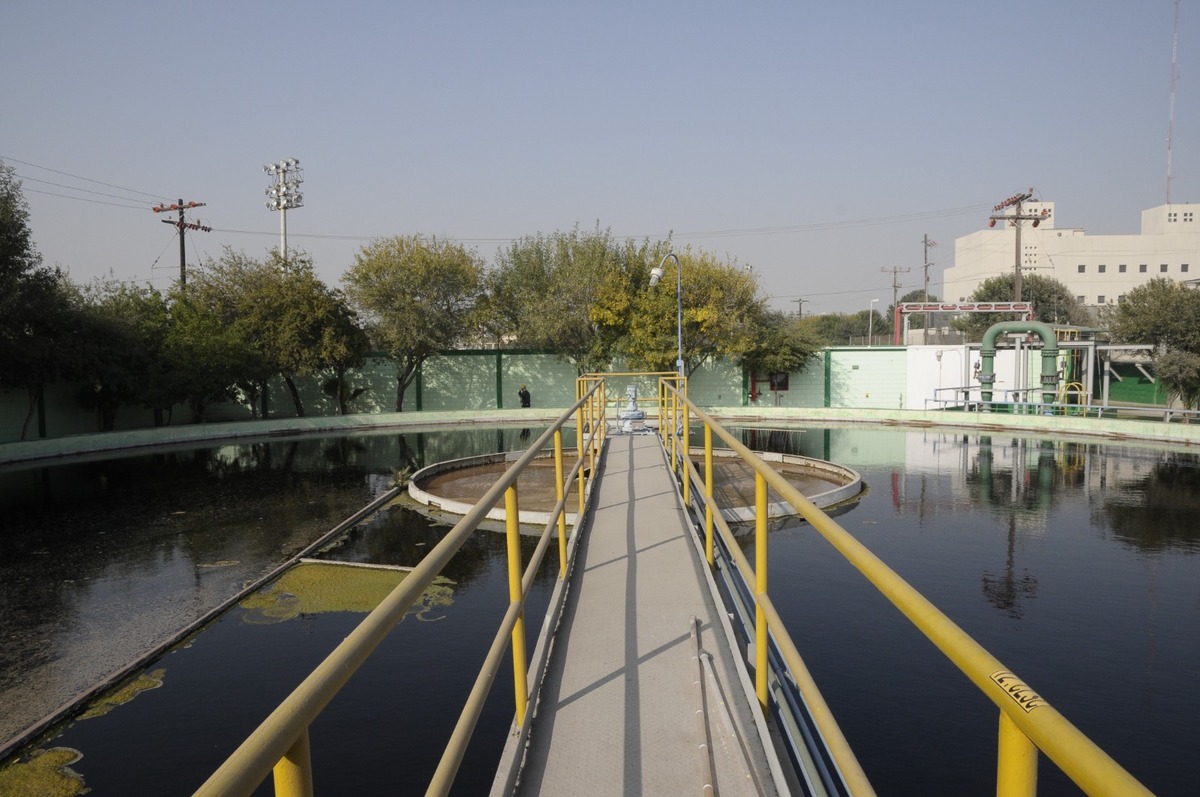 Aplican diversas estrategias para el cuidado del agua en sus plantas. Especial