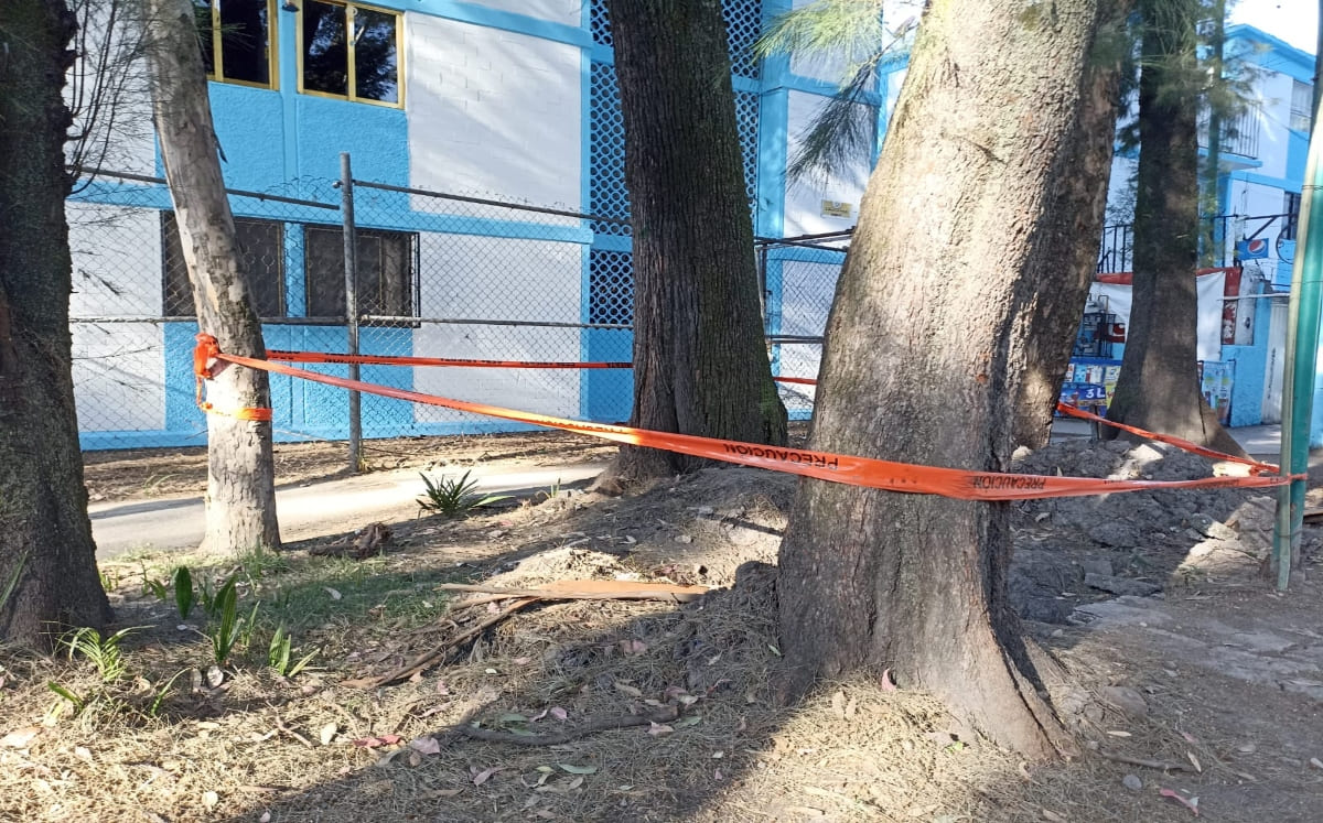 El socavón sólo fue acordonado por Protección Civil de la alcaldía Coyoacán. / Enrique Luna
