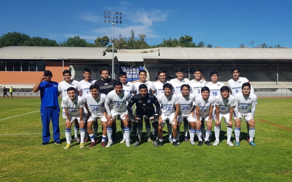 Borregos del ITESM | Especial
