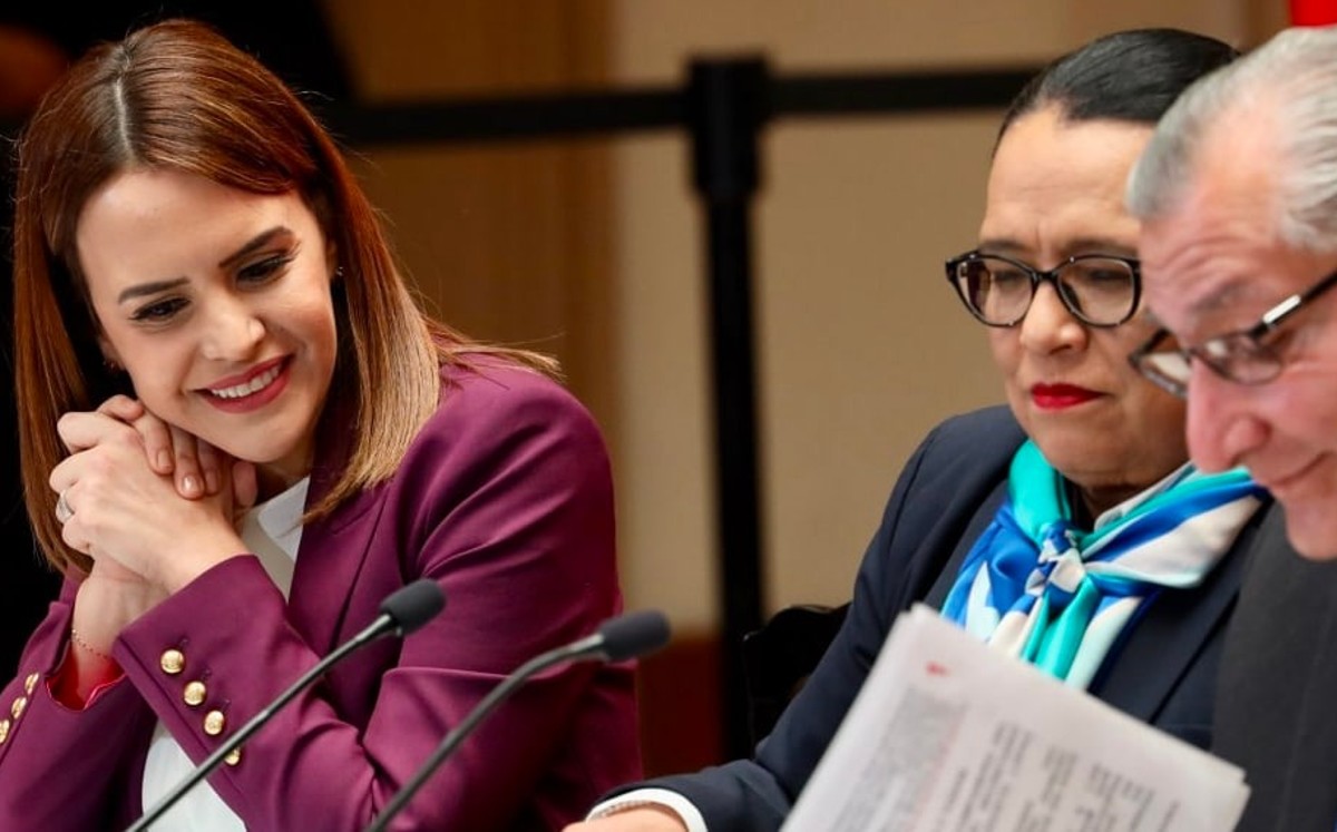 Clara Luz Flores, titular del SESNSP | Especial