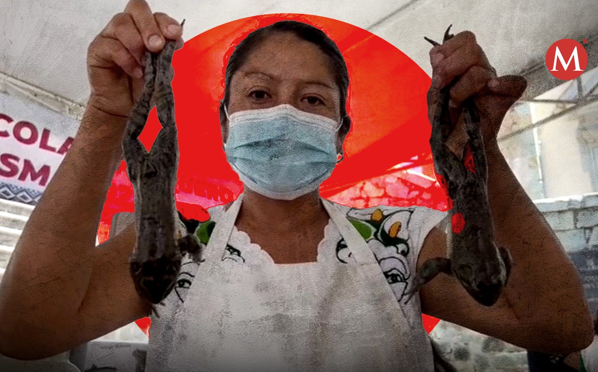 Rana toro, el platillo exótico que promueve Oaxaca durante cuaresma. | Especial