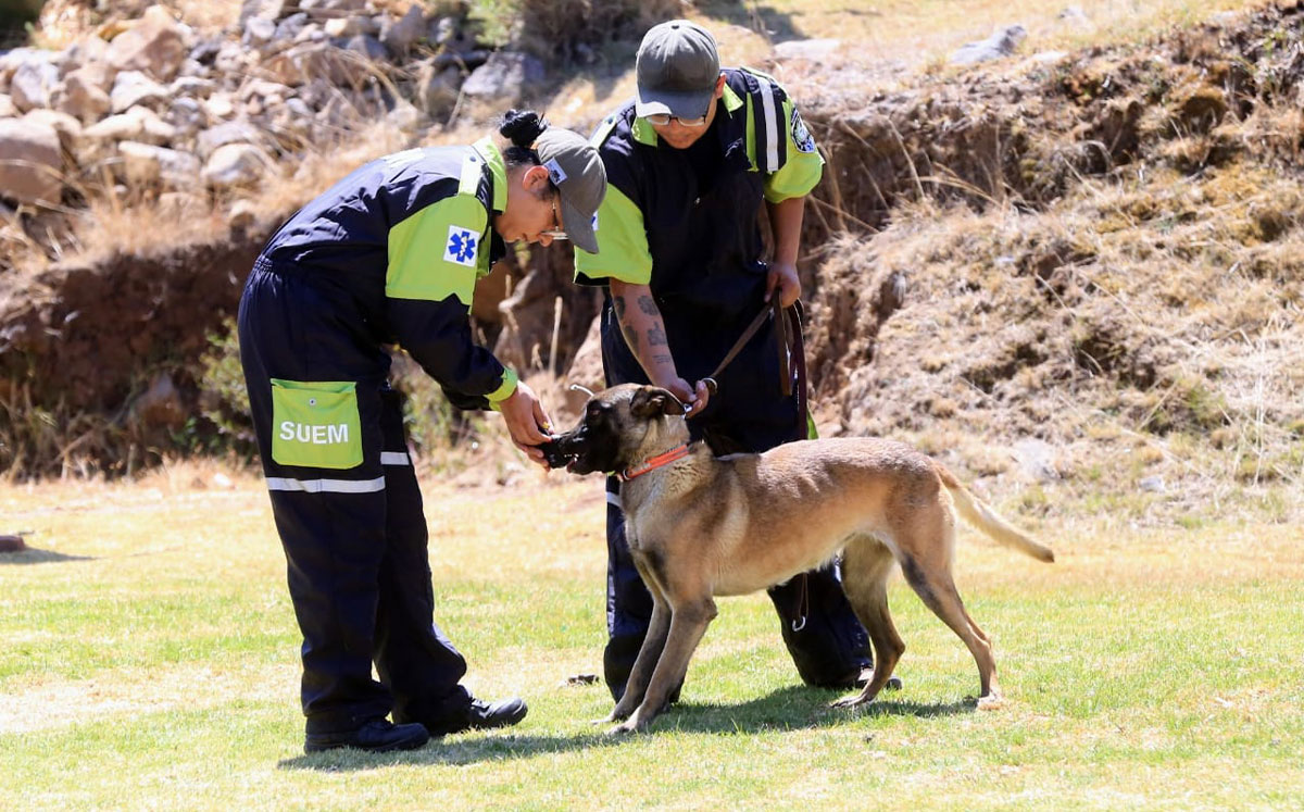 SUEM tendrá grupo canino para rescate | Iván Carmona