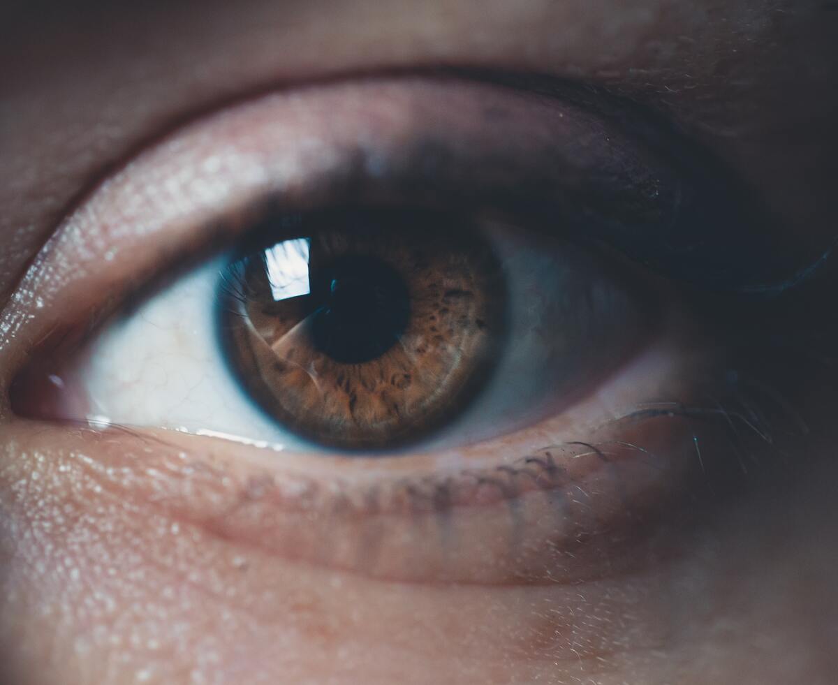 Las afectaciones a la retina podrían reflejar Alzheimer. | Foto de Craig Adderley en Pexels