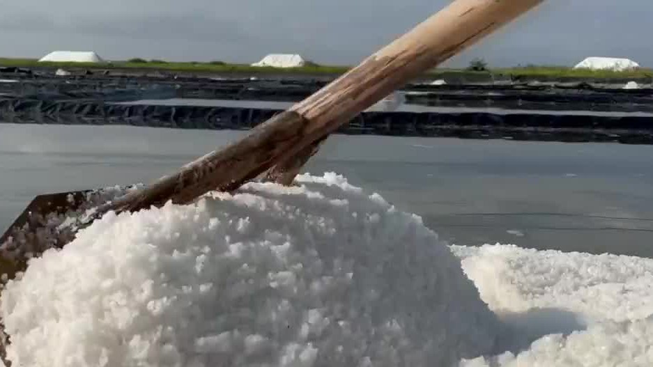 Estiman una producción de 50 mil toneladas de sal en la zafra 2023; Colima