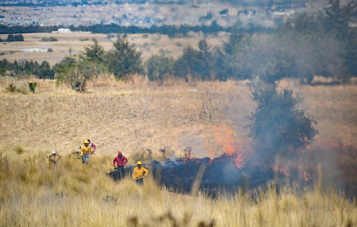 Incendios en Estado de México | Especial