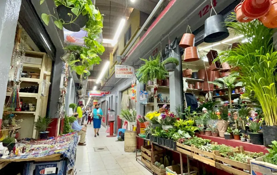 Sedeco anuncia dos nuevos mercados públicos al sistema de abasto de CdMx