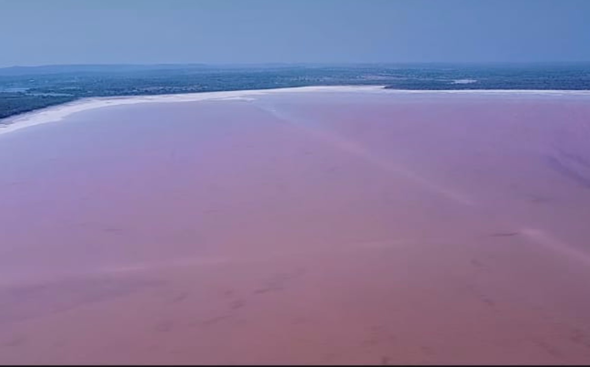 El agua es color rosa en la Laguna Vista Hermosa, Soto la Marina, Tamaulipas. (Antonio Medina)
