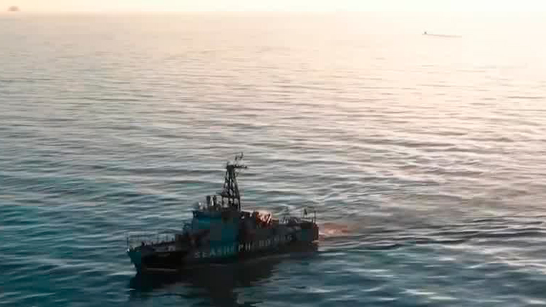 CITES prohíbe a México comercio de vida silvestre por desproteger a vaquita marina