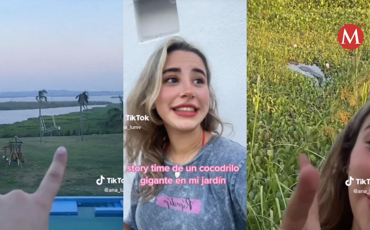 Cocodrilo acecha a joven mientras toma el sol afuera de casa: Tampico