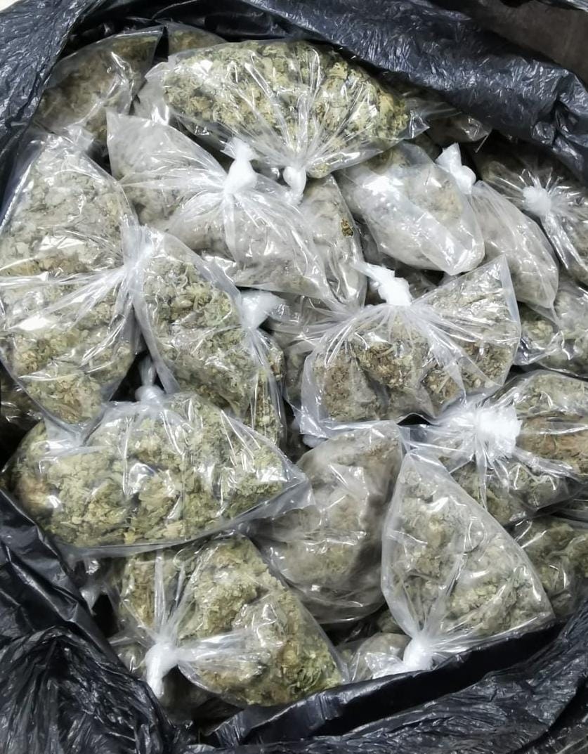 Decomiso de droga en Zacatecas.
