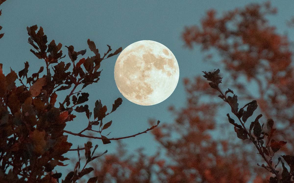 Conoce los eventos astronómicos de abril 2023 | Unsplash