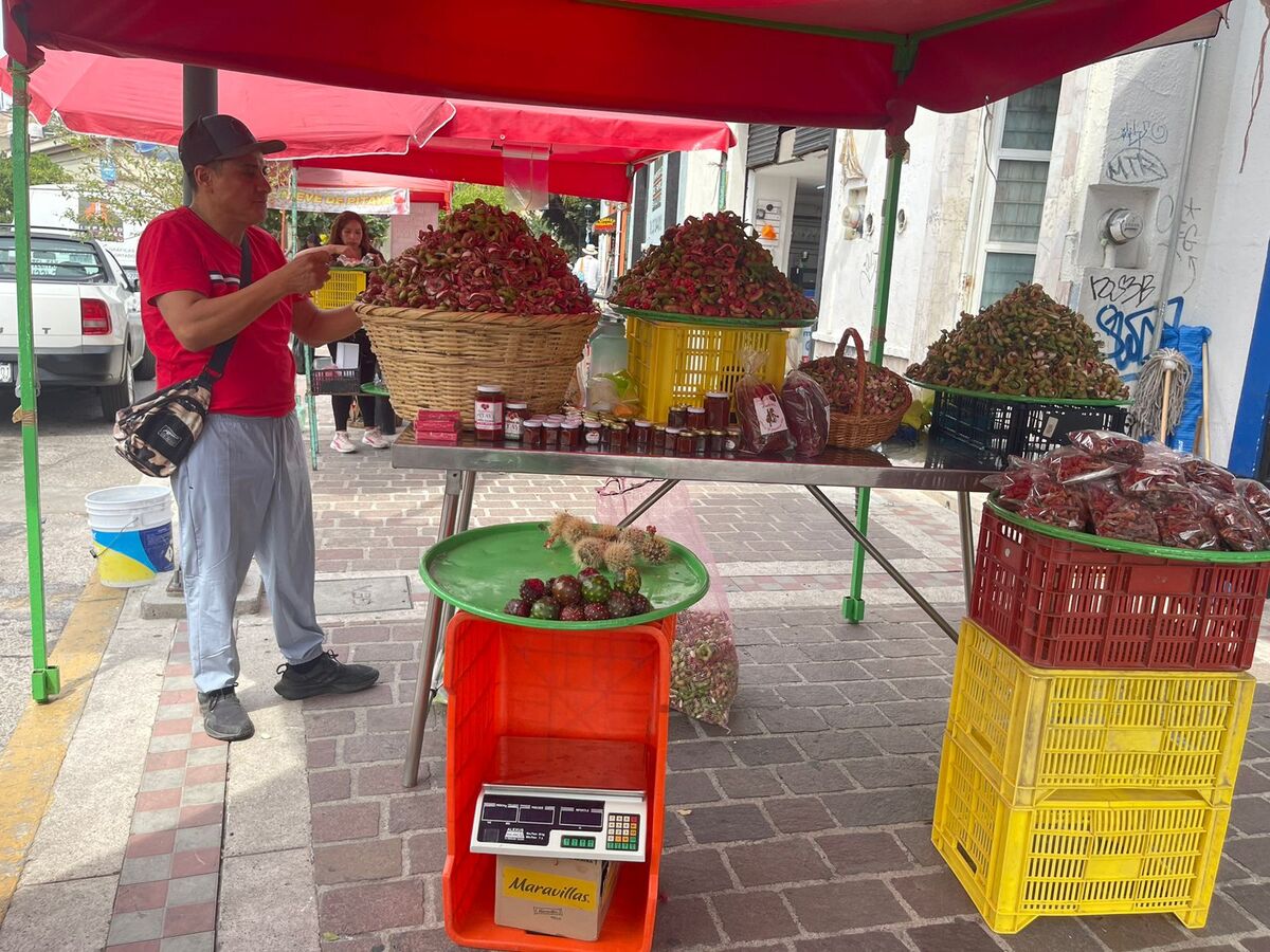 Desde hace dos semanas se instalaron los comerciantes de pitayas. (Karla Rodríguez)