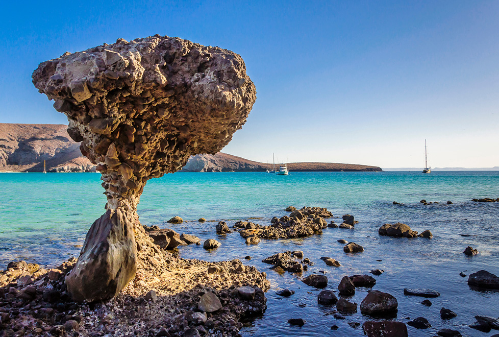 Conciencia. Son parte de áreas naturales protegidas por su biodiversidad. Fotos: Shutterstock / Cortesía